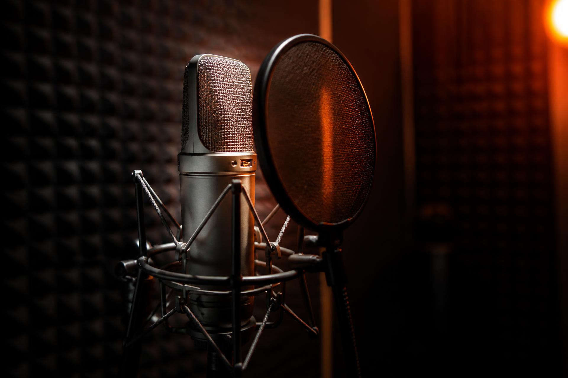 Professional condenser microphone in a Voice Village recording studio